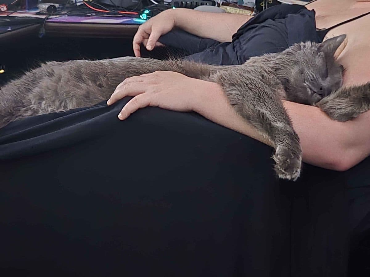 Catastrophe