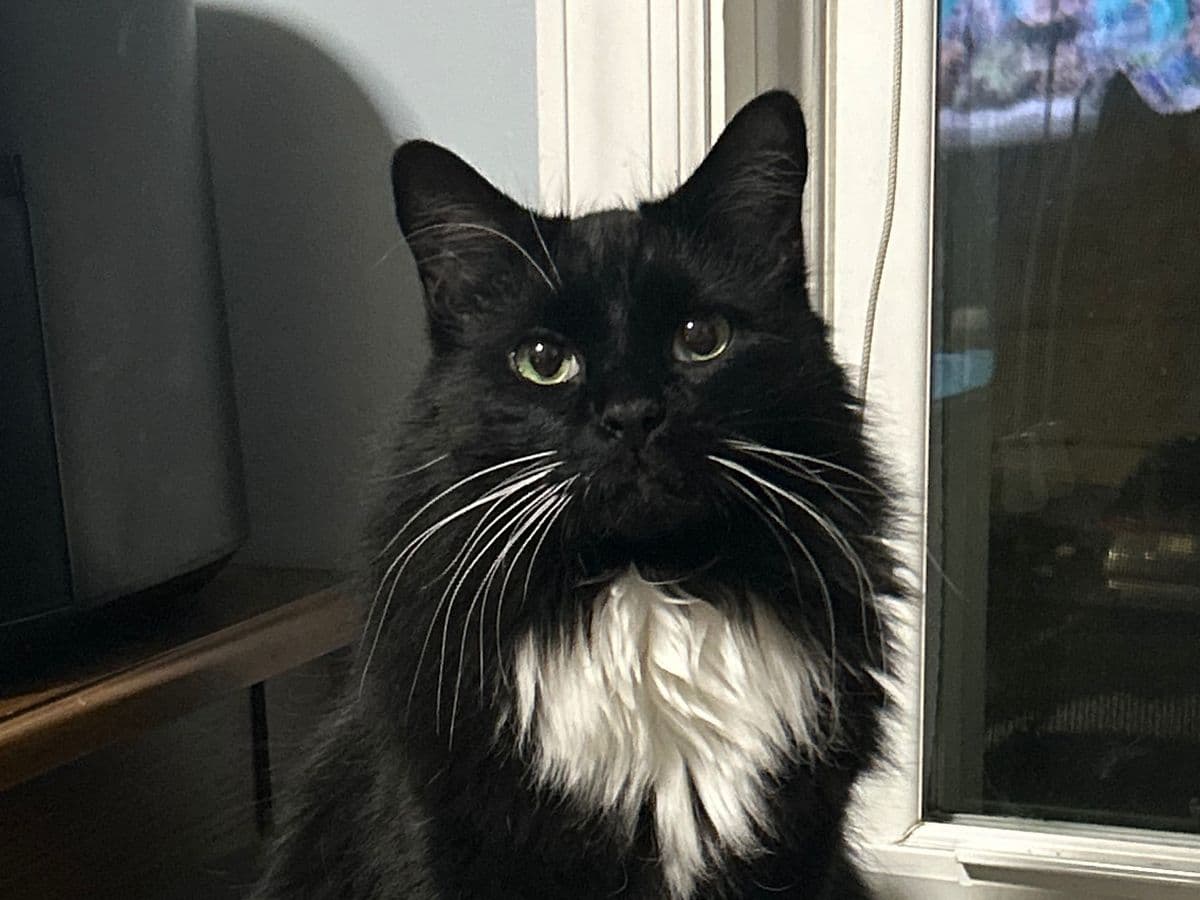 Jack